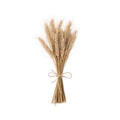 Fototapeta premium A beautiful bouquet of dried wheat stalks tied together with twine, showcasing their natural golden hue against a white isolated background.