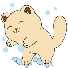 cute little cat playing bubble