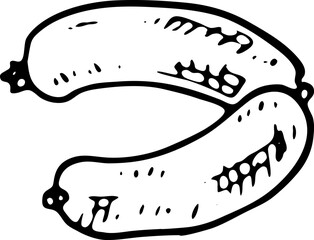 Hand drawn sausage doodle. Sketch food and drink, icon. Decoration element. Isolated on white background. Vector illustration