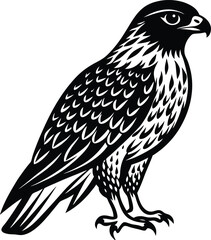 Beautiful black Hawk Bird vector silhouette art this is an editable and printable vector eps file