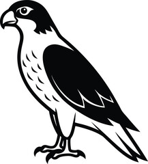 Beautiful black Hawk Bird vector silhouette art this is an editable and printable vector eps file
