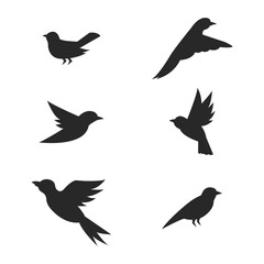 Crow Vector