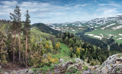 Forest on the mountain slopes of the Lago Naki plateau, Krasnodar Krai, Republic of Adygea.