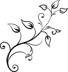leafy vine swirl VECTOR.