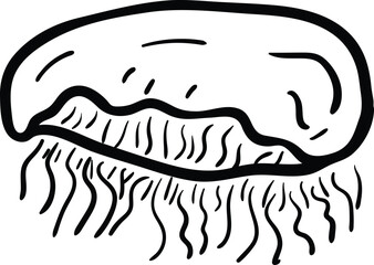 Beautiful hand drawn fashion jellyfish icon. Hand drawn black sketch. Sign / symbol / doodle. Isolated on white background. Flat design. Vector illustration