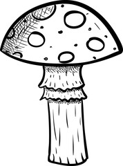 Handdrawn fly-agaric doodle icon. Hand drawn black sketch. Sign cartoon symbol. Decoration element. White background. Isolated. Flat design. Vector illustration