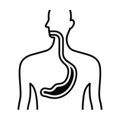 esophagus connecting mouth and stomach.