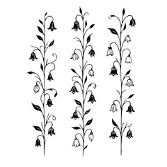 Set of twigs, branches of leaves, doodle floral pattern. Hand drawn Botanical drawing. Detailed line art bluebell, Campanula vine illustration. Outline Simple Stylized Art, harebell flowers blossom