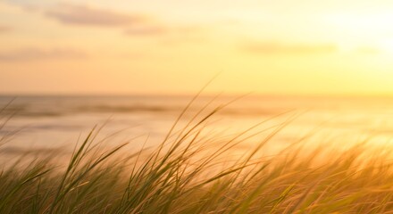 Fototapeta premium Golden Hour Whispers AI Generated