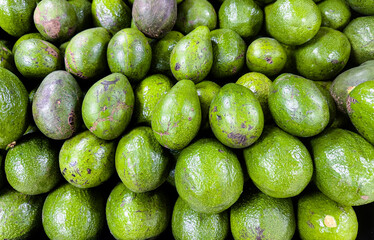 top-down view of several avocados piled together, with smooth green skins and subtle imperfections scattered across the surface