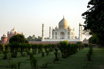 Obraz premium The 1648 Taj Mahal magnificent marble mausoleum seen in the late afternoon from the Methab Gardens, Agra, Uttar Pradesh, India