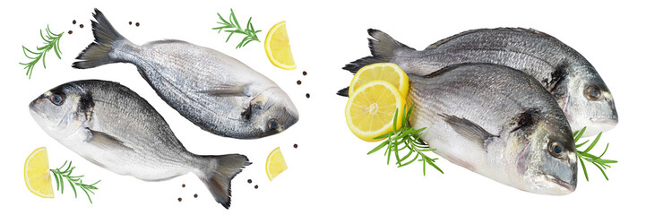 Fish dorado isolated on white background with full depth of field. Top view. Flat lay