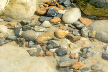 Texture et détails de pierres et de galets recouverts d'eau en bord de mer
