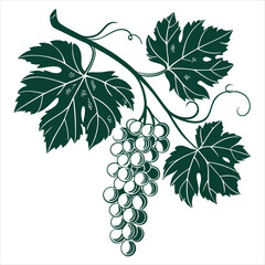 Obraz premium silhouette Grapes Fruit Icon on the white background