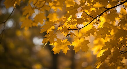 Golden Hour's Embrace AI Generated