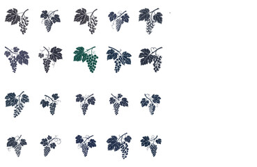 silhouette Grapes Fruit Icon on the white background