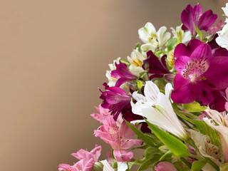 A fragment of a lush bouquet of alstroemerias of white, pink, purple and beige colors with green leaves on a brown background in the lower right corner of the photo, close-up. There is space for text.