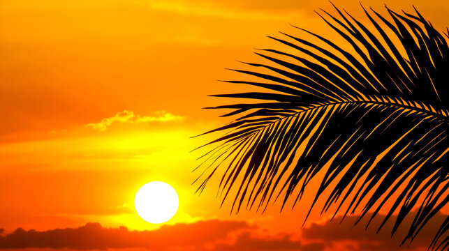 A palm tree silhouetted against a sunset with the sun setting behind it