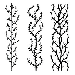 Set of twigs, branches of leaves. Seamless doodle floral pattern. Hand drawn Botanical drawing. Detailed line art of twigs and thorns vine illustration. Outline Simple Stylized Art