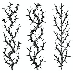 Set of twigs, branches of leaves. Seamless doodle floral pattern. Hand drawn Botanical drawing. Detailed line art of twigs and thorns vine illustration. Outline Simple Stylized Art