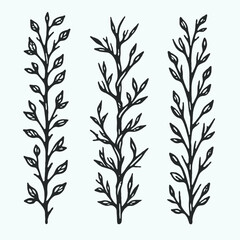 Set of twigs, branches of leaves. Seamless doodle floral pattern. Hand drawn Botanical drawing. Detailed line art of twigs and thorns vine illustration. Outline Simple Stylized Art