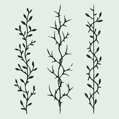 Set of twigs, branches of leaves. Seamless doodle floral pattern. Hand drawn Botanical drawing. Detailed line art of twigs and thorns vine illustration. Outline Simple Stylized Art