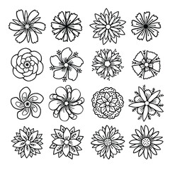 Obraz premium hand drawn outline flowers illustration. Line Drawing flower. hand drawn sketch of flowers illustration. 