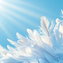 Naklejka premium White Feathers Sky Sunlight