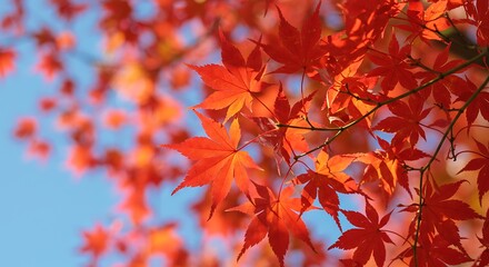 Crimson Canopy's Embrace AI Generated