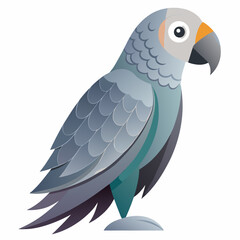 parrot on white background