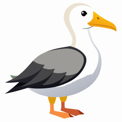 duck on white