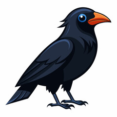 raven on a branch