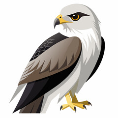 eagle on a branch