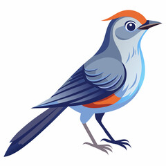 blue bird on a branch