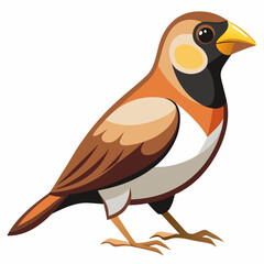 Obraz premium bird on a branch
