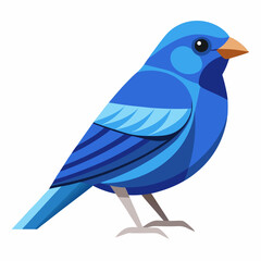 blue bird on white background