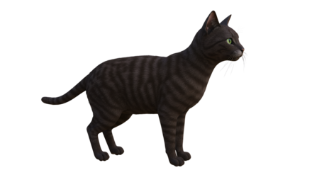 Adorable Black Cat with Stripes Looking Curiously at Its Surroundings