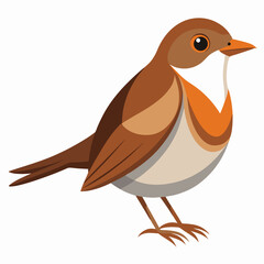 vector illustration of a bird
