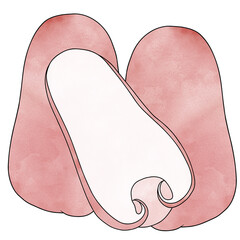 Hand drawn with Rose apple.Creative illustration in flat style.