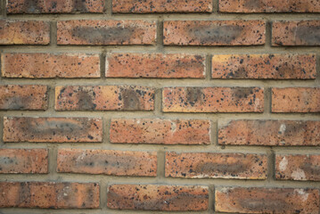 Closeup of brick wall texture background