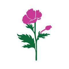 Fototapeta premium Colorful flower 
