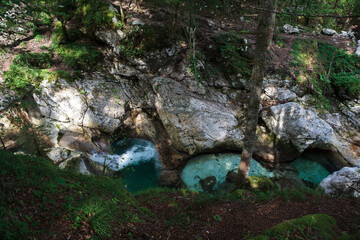 Sunikov Vodni Gaj Nature Preserve, Slovenia