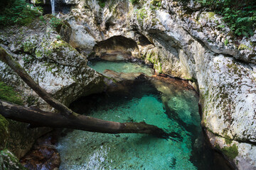 Sunikov Vodni Gaj Nature Preserve, Slovenia