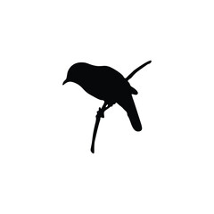 Bird silhouette