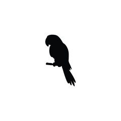 Obraz premium Bird silhouette