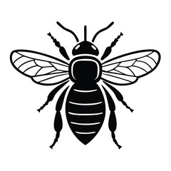 Bee silhouette isolated on a white background