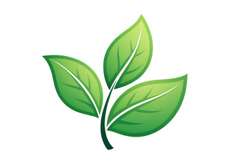 A stylized image of two green leaves on a white background