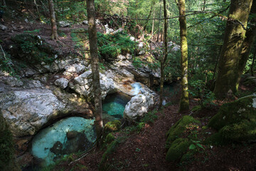 Sunikov Vodni Gaj Nature Preserve, Slovenia