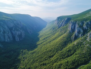 Naklejka premium Majestic aerial view of a deep green valley nestled between rugged mountains under a serene blue sky, creating a sense of peace and natural wonder