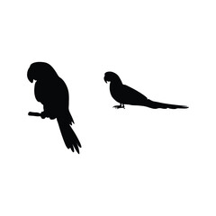 Bird silhouette